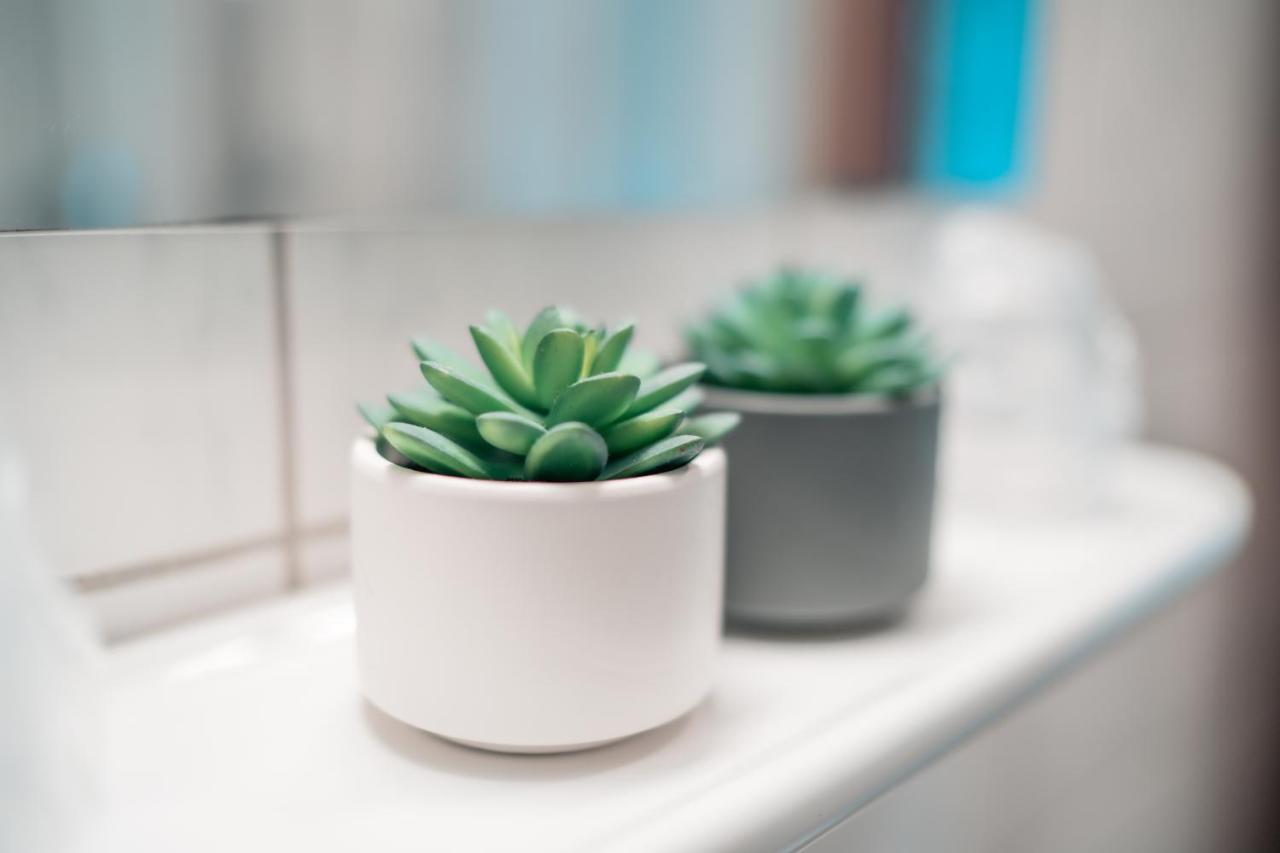 Bed & Breakfast Airport Lounge 3*